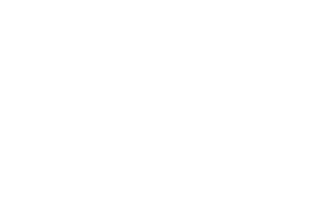 Exelonix Logo